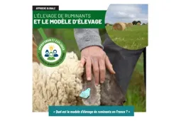 CNE modele elevage
