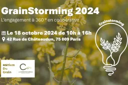 Grainstorming