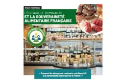 souveraineté CNE
