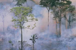 Déforestation EUDR