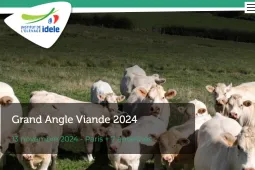 Grand angle viande 2024