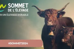 Sommet2024