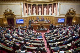 Senat - PPL simplification