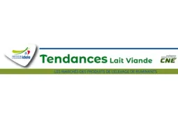 visuel tendance lait viande