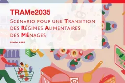 TRAMe2035