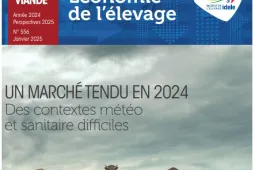 Dossier viande 2024