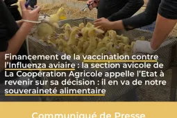 Vaccination influenza aviaire CP AVI LCA