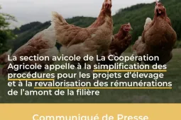 CP aviculture