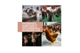 couverture DP déjeuner presse 2025