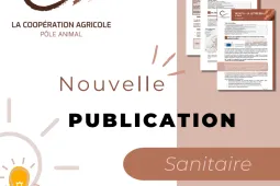 Nouvelle publication sanitaire