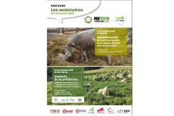 flyer webinaire innovin 2025