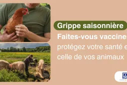 grippe saisoniere 