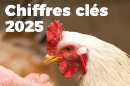 Chiffres clefs nutrition animale 2025