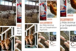 Chiffres clés PA 2025