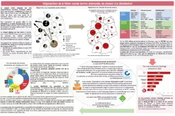 Etude interbev allemagne