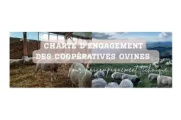 Charte ovine - titre