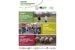 webinaire innovin mai juin 2026