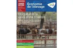 MMX VIANDE BOVINE année 2025 perspective 2026