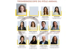 trombi PA Juillet 2026