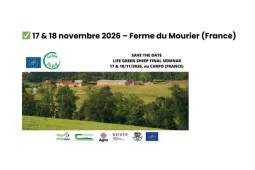 green sheep séminaire final