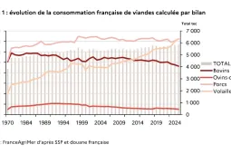 Consommation de viande en France (FranceAgriMer)