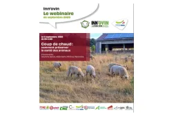 webinaire innovin coup de chaud