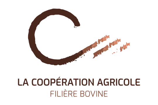 Logo LCA Filière Bovine