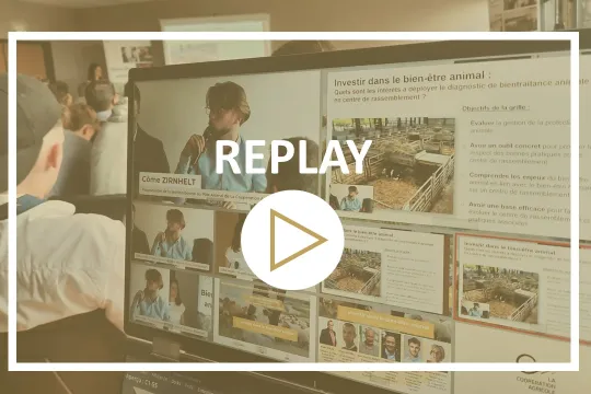 Replay des conférences BEA