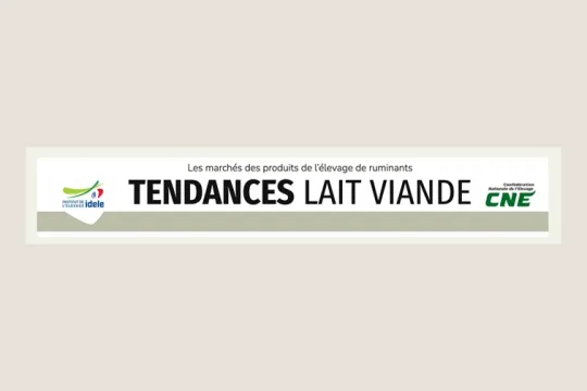 visuel tendance lait viande