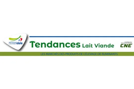 visuel tendance lait viande
