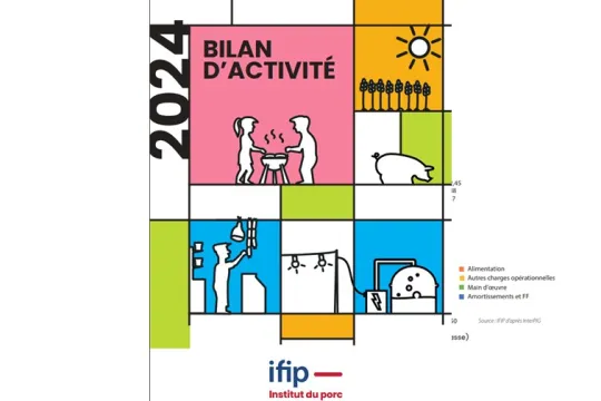 Bilan d'activité IFIP 2024