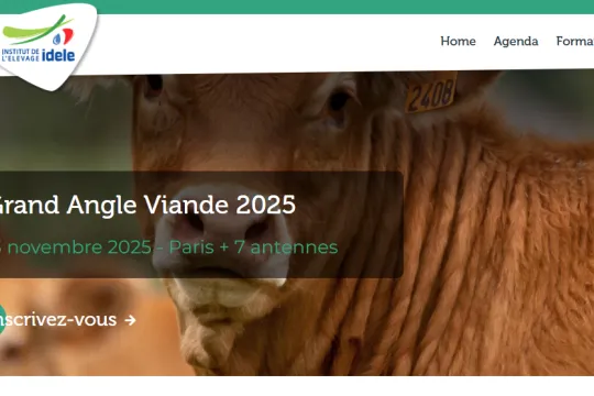 grand angle viande 2025