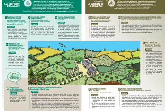 plaquette bovi'biodiv