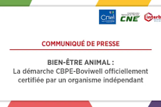 CP BOVIWELL certifié