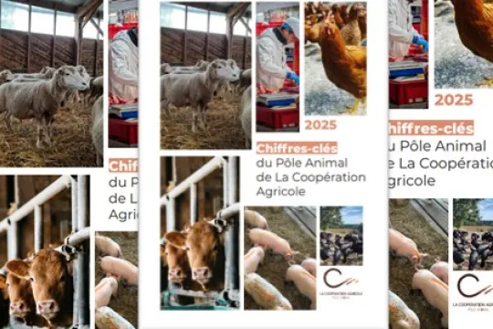 Chiffres clés PA 2025