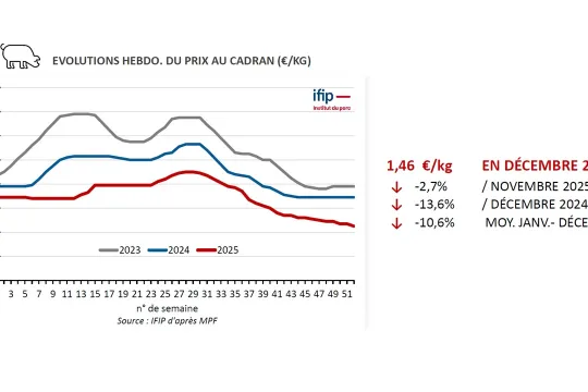 Prix du porc janvier 2026
