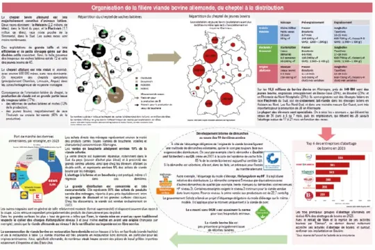 Etude interbev allemagne