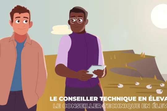 Motion design - amont de la filière