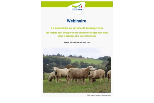 webinaire numérique avril 2026