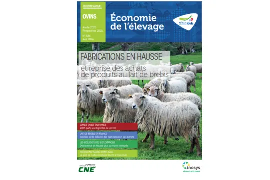 dossier annuel ovin 2026