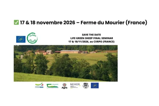 green sheep séminaire final
