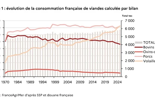 Consommation de viande en France (FranceAgriMer)