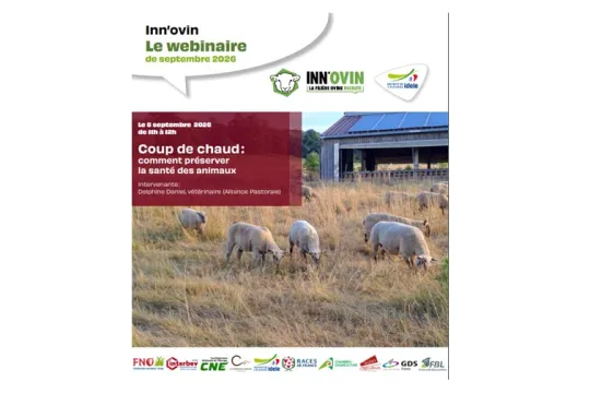 webinaire innovin coup de chaud