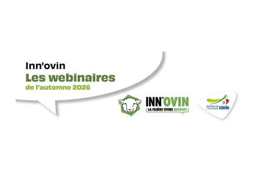 webinaire innovin automne 2026