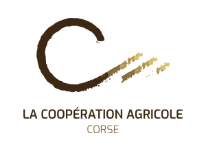 logo LCA Corse