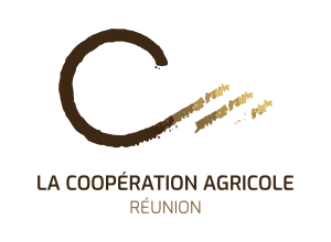 LCA Réunion
