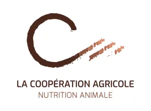 Logo LCA NA