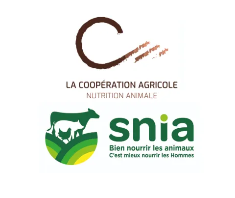 Logos LCA Snia