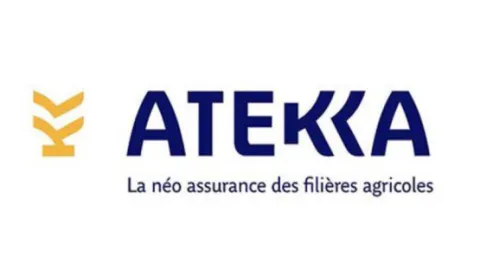 Logo Atekka