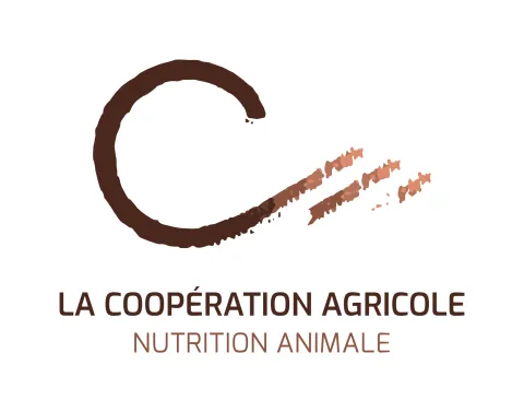 Logo LCA NA